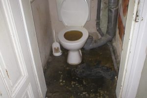 toilet verstopt Dongen